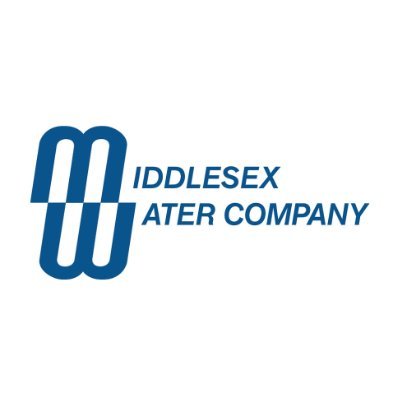 سهم شركة MSEX 2026