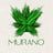 سهم شركة mrno