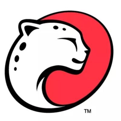 سهم شركة PLTK 2026