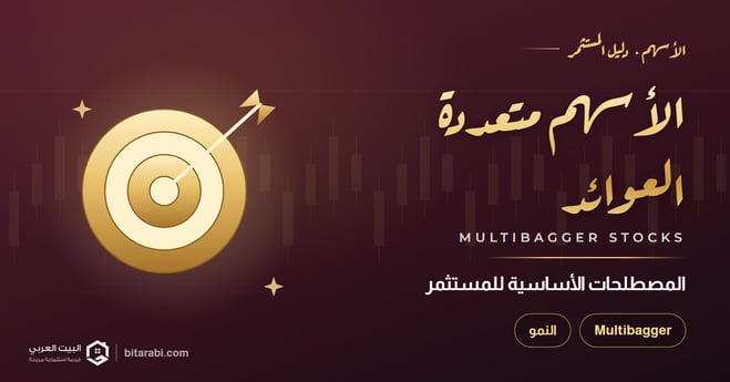 الأسهم متعددة العوائد (Multibagger): المصطلحات الأساسية