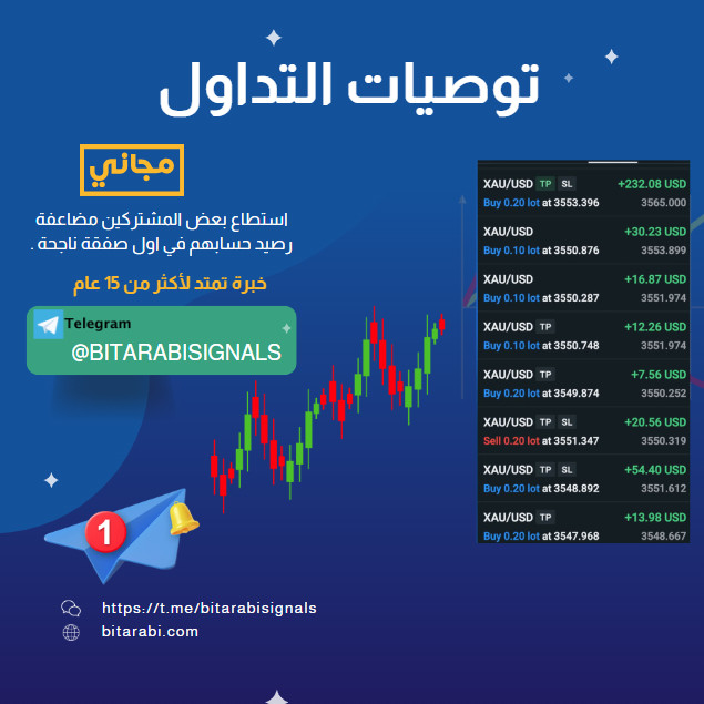 توصيات يومية