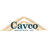 سهم شركة cvco