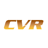 سهم شركة cvi