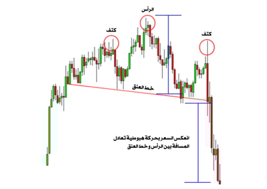 تشارت يوضح الكتف 