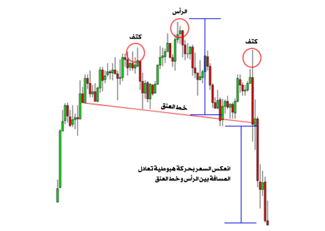 تشارت يوضح الكتف 