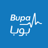 شعار بوبا العربية للتأمين التعاوني