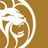 سهم شركة MGM