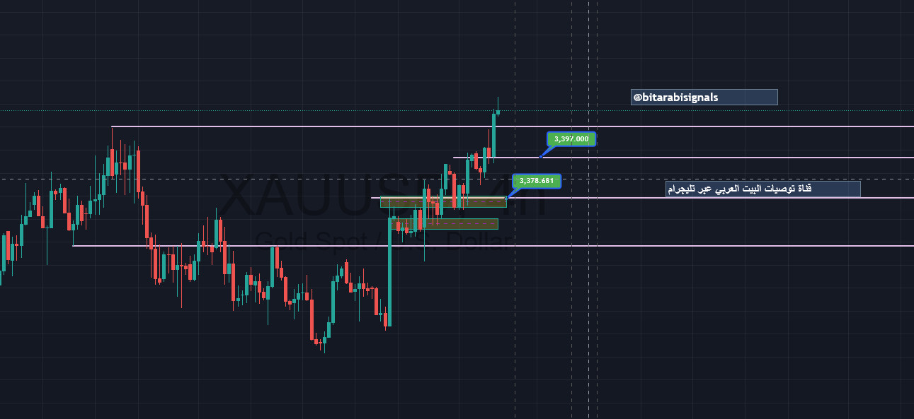 توصيات تداول الفوركس اليومية وأهم النصائح