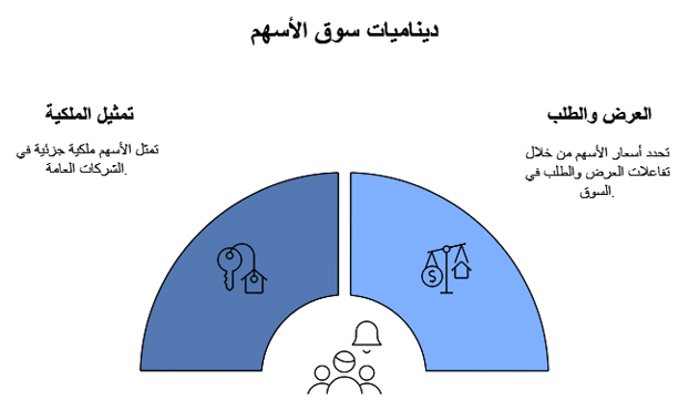 تأثير العرض والطلب على الاسهم 