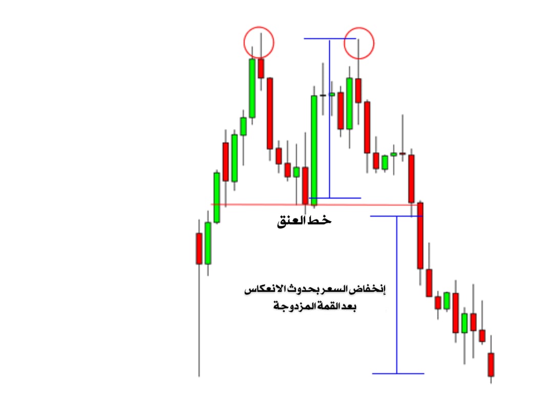 شارت يوضح خط العنق 