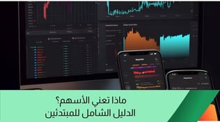 ماذا معنى الأسهم؟ [الدليل الشامل للمبتدئين]