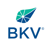 سهم شركة BKV