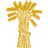 سهم شركة fmnb