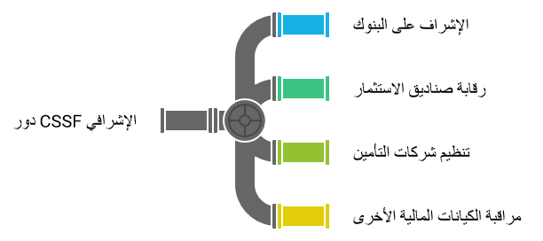 دور لجنة مراقبة القطاع المالي في لوكسمبورغ الاشرافي