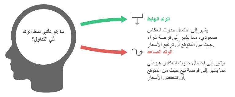 الوتد الصاعد والهابط