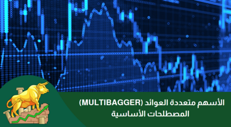 الأسهم متعددة العوائد (Multibagger) : المصطلحات الأساسية