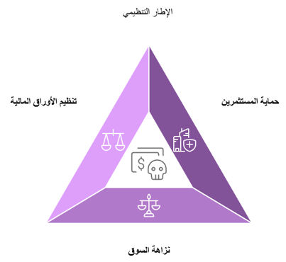 انفوجرافيك يوضح الاطار التنظيمي لهيئة تنظيم الصناعة المالية FINRA