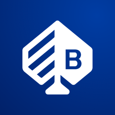 سهم شركة BRAG 2026