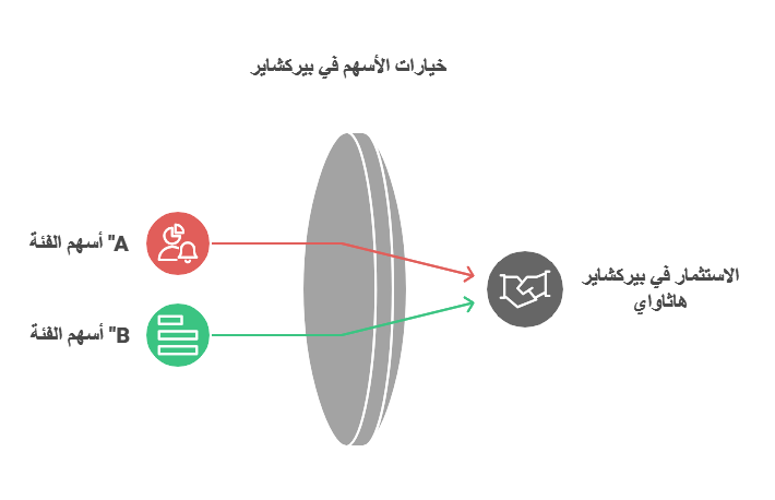 خيارات أسهم بيركشاير هاثاواي