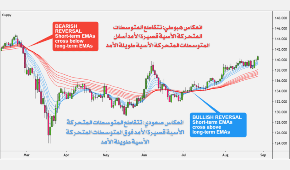 كيفية التداول مع الاتجاه باستخدام متوسطات جوبي المتحركة المتعددة (GMMA)