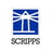 سهم شركة ssp