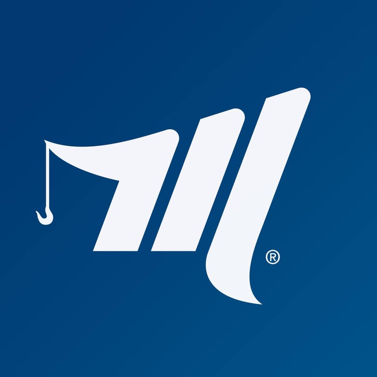 سهم شركة  (MLR)