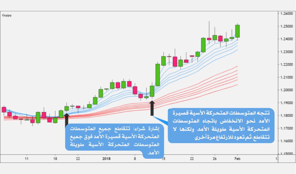 كيفية التداول مع الاتجاه باستخدام متوسطات جوبي المتحركة المتعددة (GMMA)