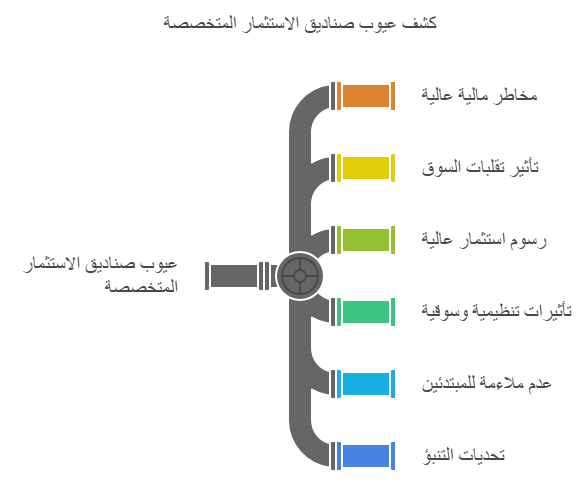 عيوب صناديق الاستثمار المتخصصة sif