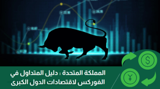 المملكة المتحدة : دليل المتداول في الفوركس لاقتصادات الدول الكبرى