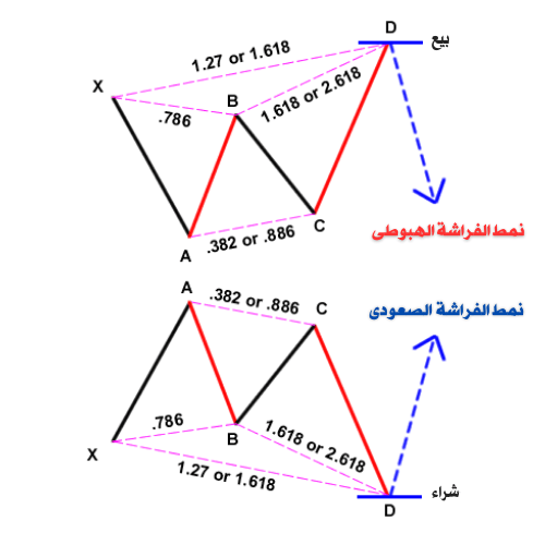 الأنماط السعرية التوافقية في سوق الفوركس