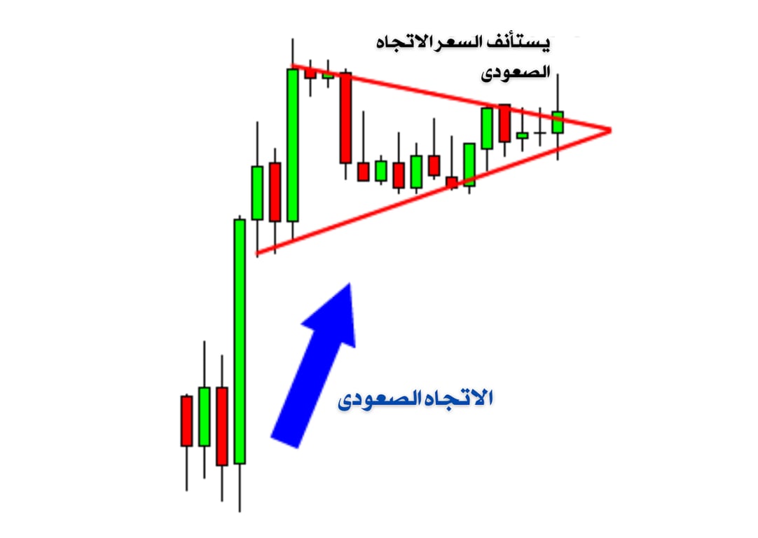 شارت يوضح صعود السعر 