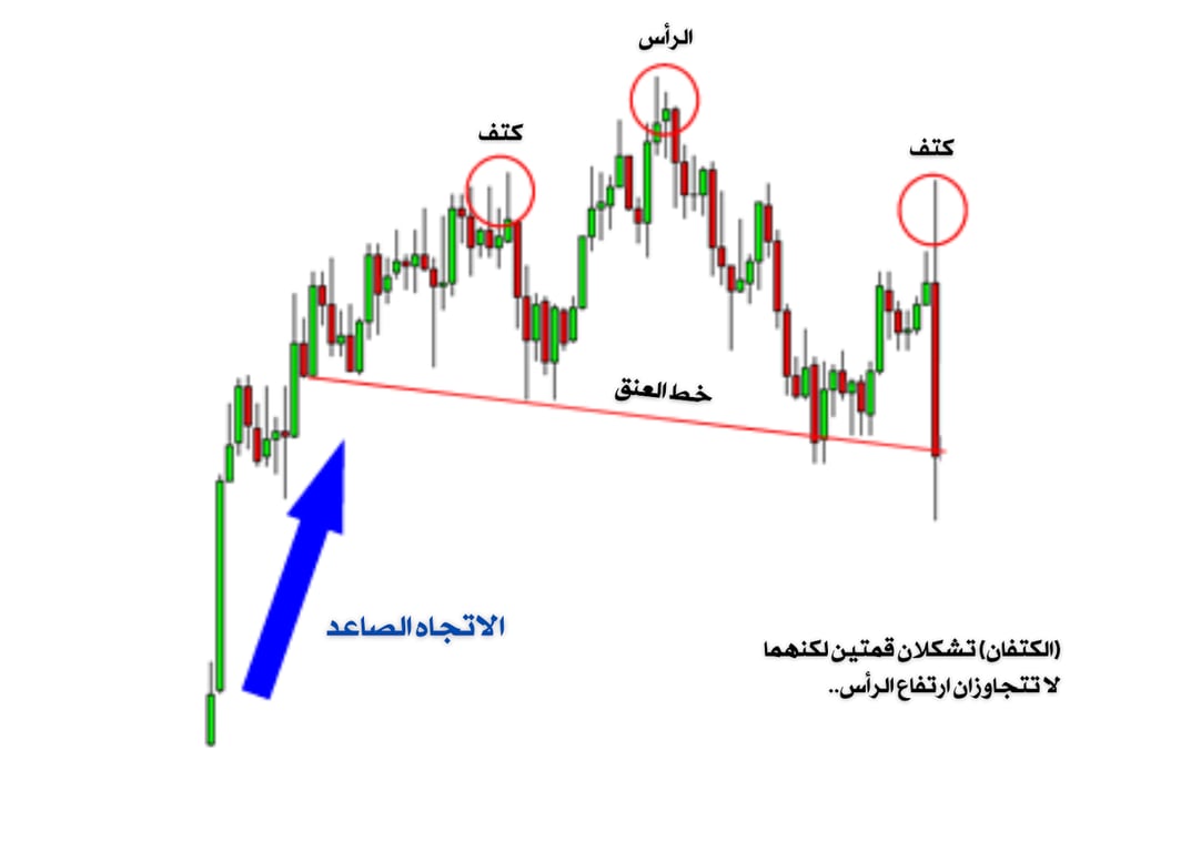 تشارت يوضح الراس والكتفين