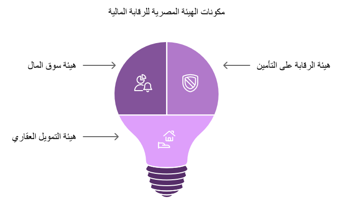 الهيكل التنظيمي لهيئة الرقابة المالية المصرية (FRA)