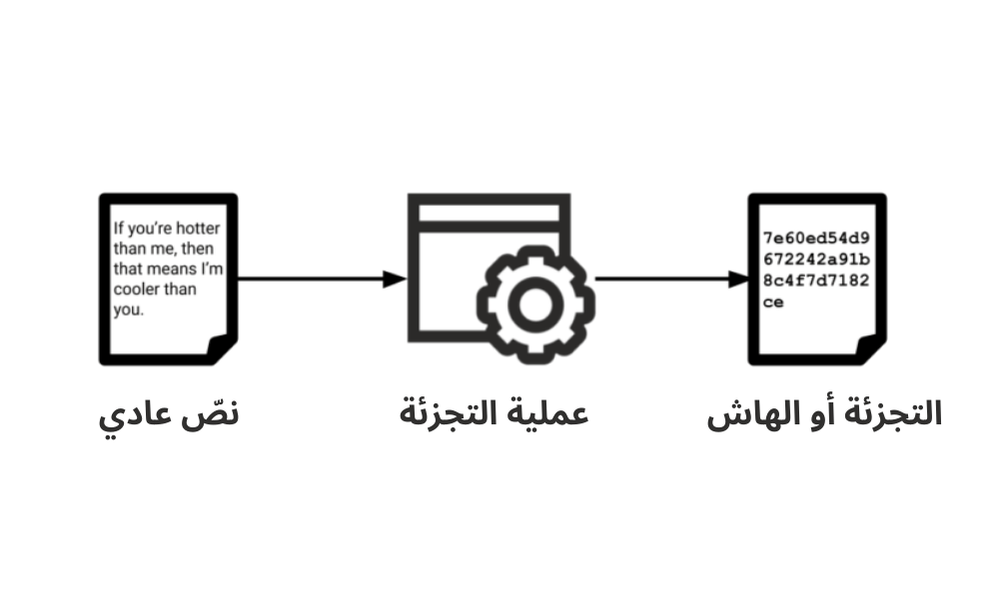 شرح عملية التجزئة