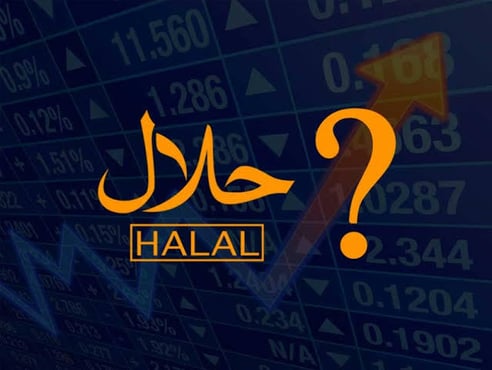 أفضل فلاتر الأسهم الأمريكية الشرعية 2026