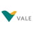 سهم شركة vale