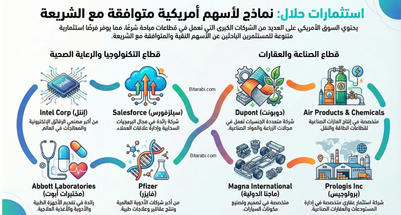 الأسهم الحلال
