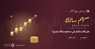 الاستثمار في سهم سالك: هل هو مربح في 2026؟