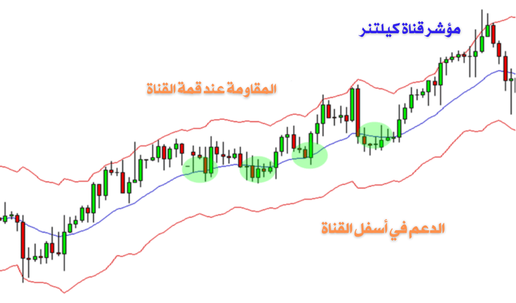 شارت يوضح المقاومة والدعم