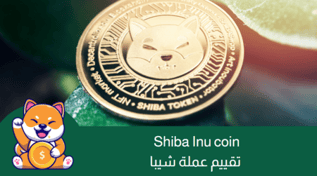 تقييم عملة shiba inu coin