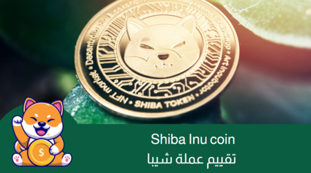 تقييم عملة shiba inu coin :من ميم كوين إلى نظام بيئي متكامل