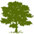 سهم شركة cyh